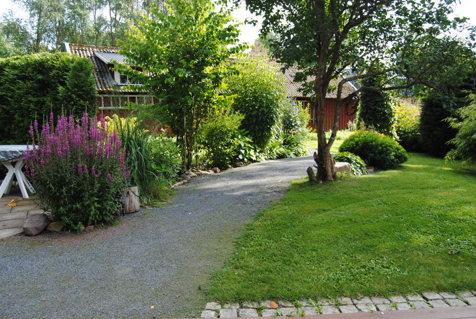 DSC 0591 1