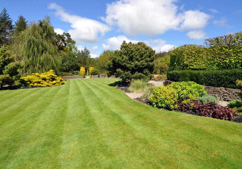 garden